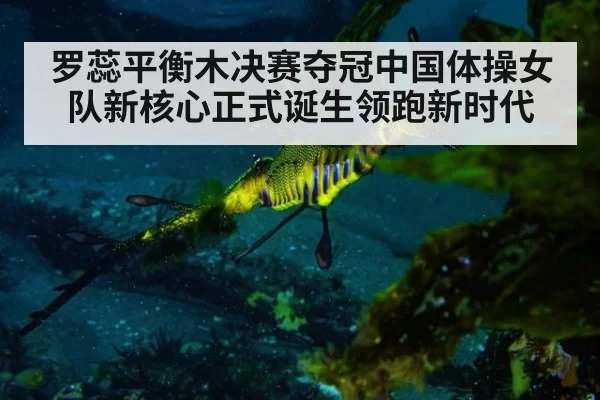 罗蕊平衡木决赛夺冠中国体操女队新核心正式诞生领跑新时代
